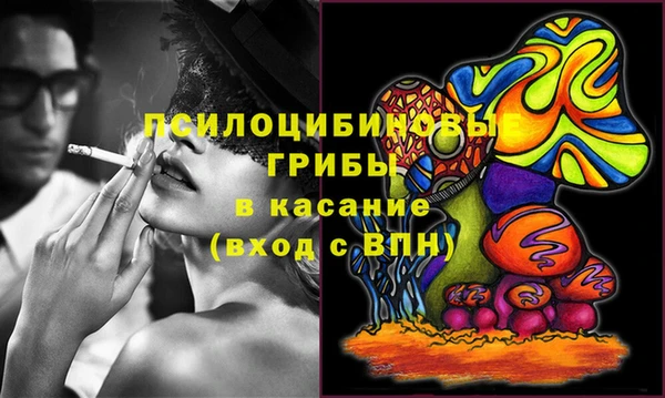 меф Богородицк